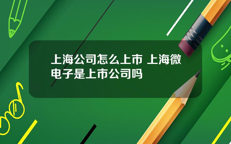 上海公司怎么上市 上海微电子是上市公司吗
